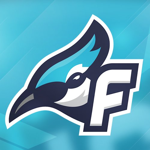 Play - Teams - Flight eSports